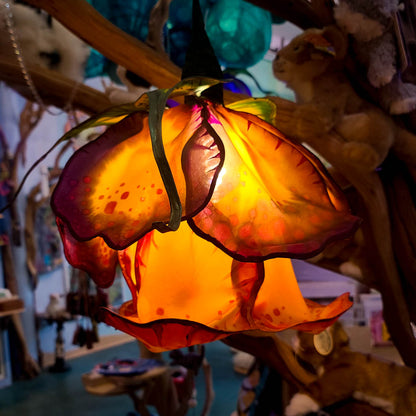 Whimsical Lanterns - Fall 2024 Online Workshop